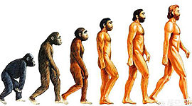 Timeline: LA ERA DEL SER HUMANO