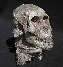 El fósil mas antiguo