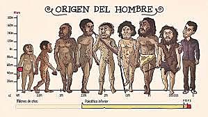 EL ORIGEN DEL HUMANO