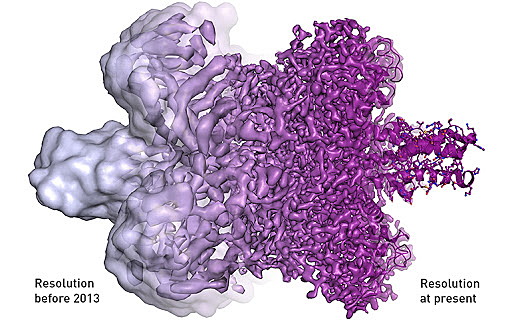 Premio nobel importante