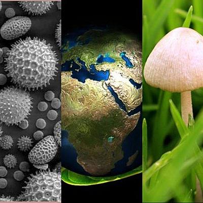 Timeline: LA HISTORIA DE LA BIOLOGÍA