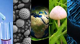 Timeline: LA HISTORIA DE LA BIOLOGÍA