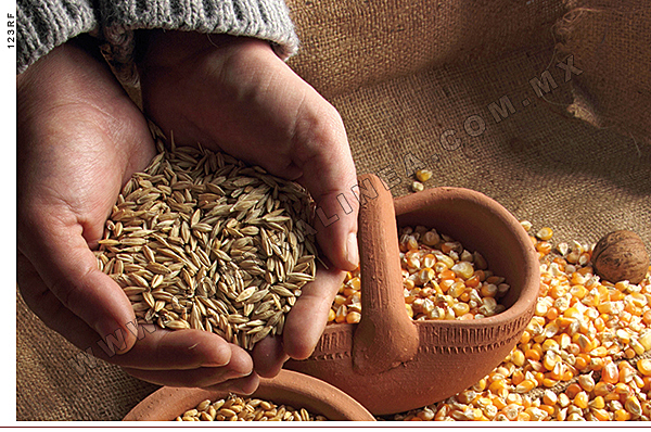 Sistema Alimentario Mexicano (SAM)