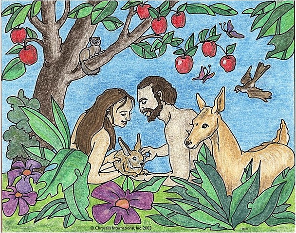 DIOS CREÓ AL HOMBRE Y A LA MUJER