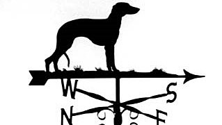 The Name Polkinghorne