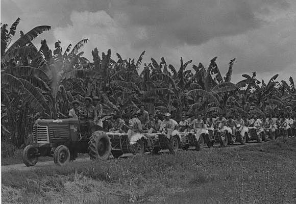 La Masacre de las bananeras