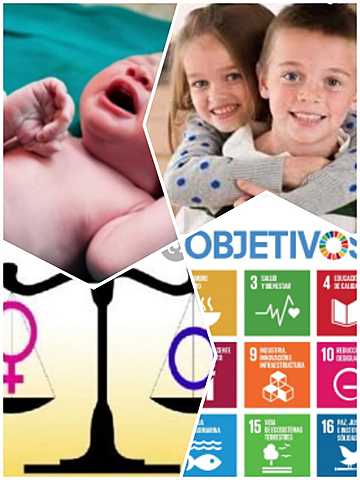 Desarrollo (PNUD 1997)