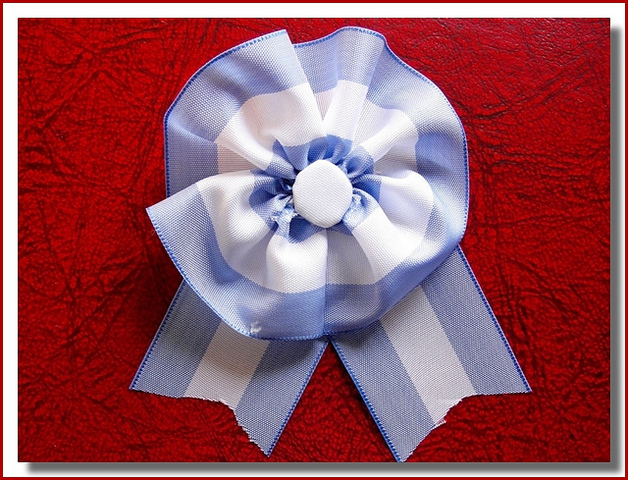 La Revolución de Mayo