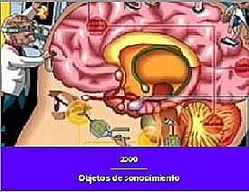 OBJETOS DE CONOCIMIENTO