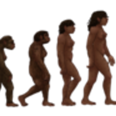 Timeline: Evoución Humana