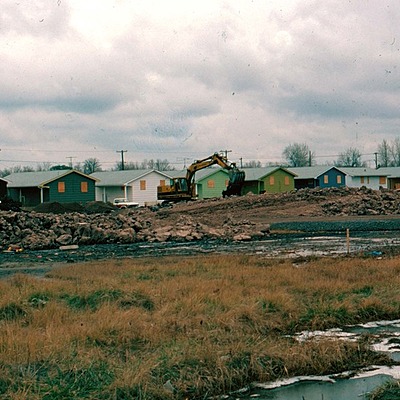 Timeline: EL DESASTRE DE LOVE CANAL