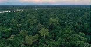 Departamento de Tierras Baldías y Bosques Nacionales