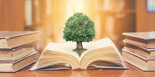 Código de los Recursos Naturales Renovables