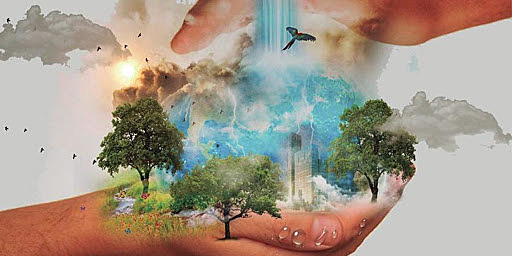 Problemática entre medio ambiente y desarrollo