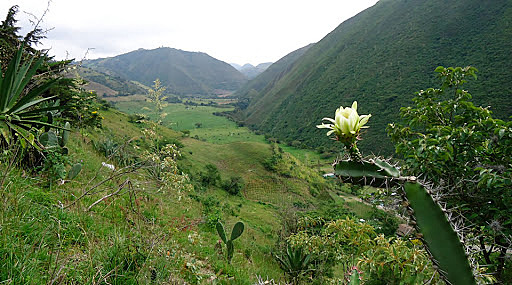 Sistema nacional de áreas protegidas