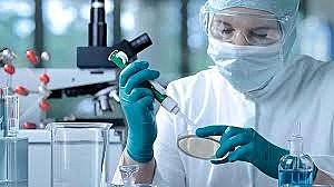 LA ORGANIZACIÓN MUNDIAL DE LA SALUD DECLARA LA ERRADICACIÓN DE LA VIRUELA.