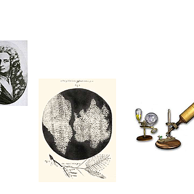 Timeline: Linea de Tiempo de la Biologia por Abraham Marquez 10-E