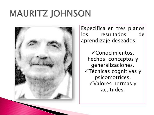 El modelo de MauritzJohnson.