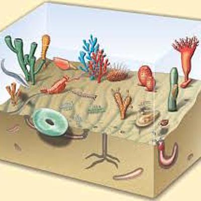 Timeline: LE ERE GEOLOGICHE