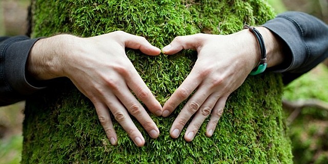 Carta mundial de la ONU para la naturaleza