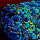 Hiv in cell