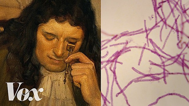 DESCUBRIMIENTO DE LOS MICROORGANISMOS