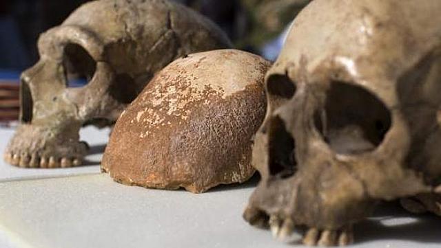 Investigación de los cuerpos de la galilea