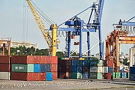 Decreto 1232 de 2001