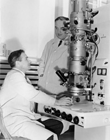 MICROSCOPIO ELECTRONICO