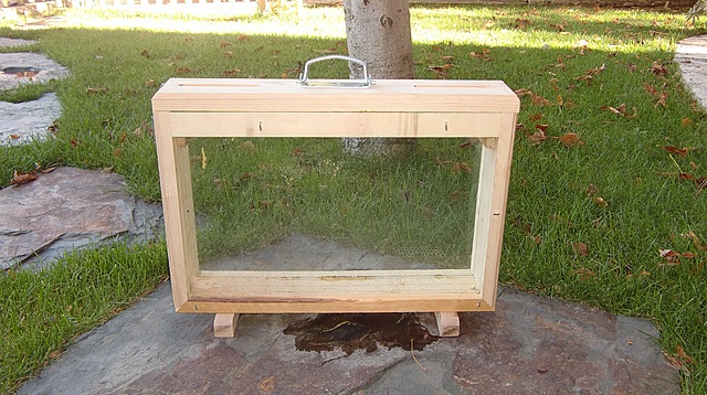 Colmena de observación