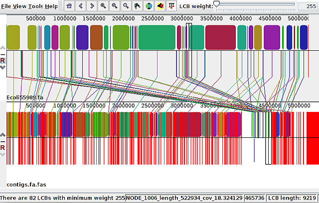 SECUENCIA DEL GENOMA DE UNA BACTERIA