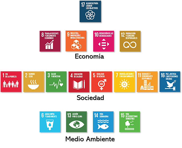 Desarrollo (Definición general)