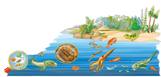 ERA ARCAICA  da 5 miliardi a 600 milioni di anni fa