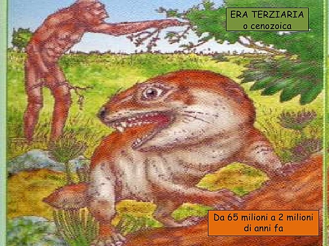 ERA TERZIARIA - da 70 milioni a 2 milioni di anni fa