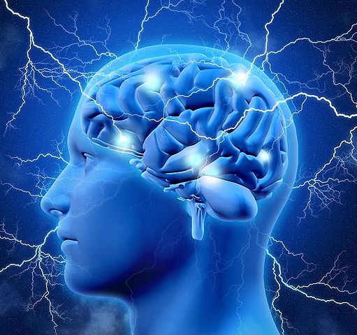 El objetivo de la Neurociencia