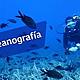 Oceanografia