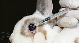 Timeline: EXPERIMENTACIÓN EN ANIMALES