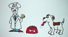 Timeline: Corrientes psicológicas. Conductismo