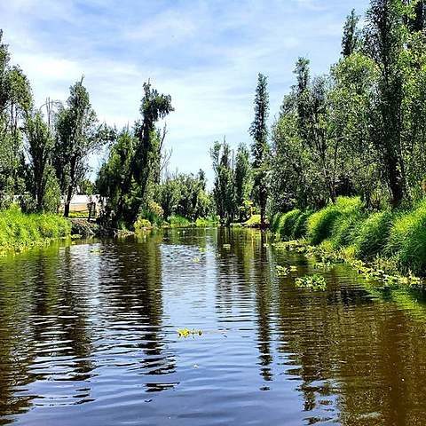 PATRIMONIO DE LA HUMANIDAD