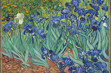 Irises
