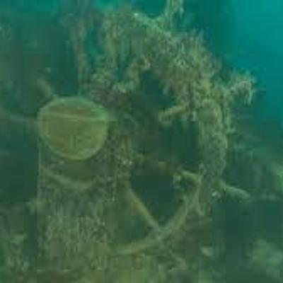 Timeline: SUBMARINO  DEL TERROR