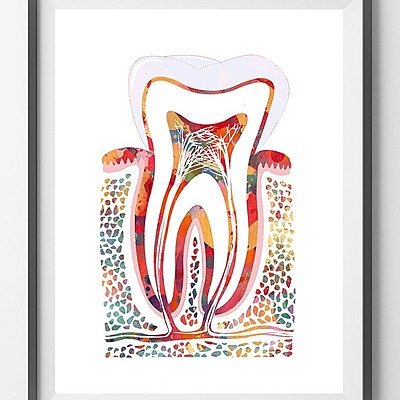 Timeline: Periodoncia Atecedentes Historicos