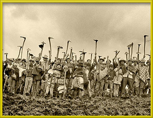 Sindicato de profesores y Maestros del Tolima