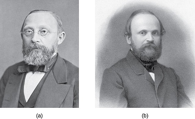 Robert remak (1815-1865) y Louis  pasteur (1822-1895)