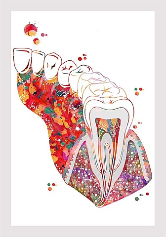 Descubrimientos recientes