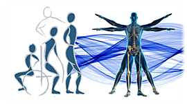 Timeline: Historia de la evolución de la Fisioterapia