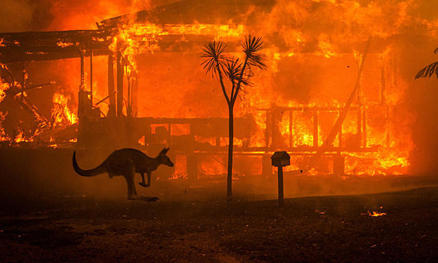 INCENDIOS FORESTALES EN AUSTRALIA