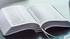 Timeline: Cronología Completa