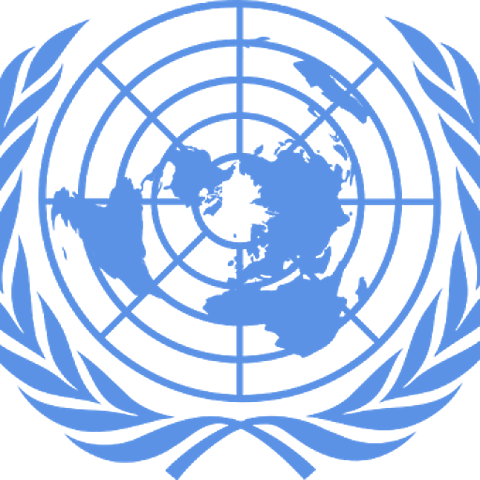 Naciones Unidas adopta un plan para la partición de Palestina en zonas judías y árabes