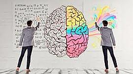 Timeline: NEUROPSICOLOGIA